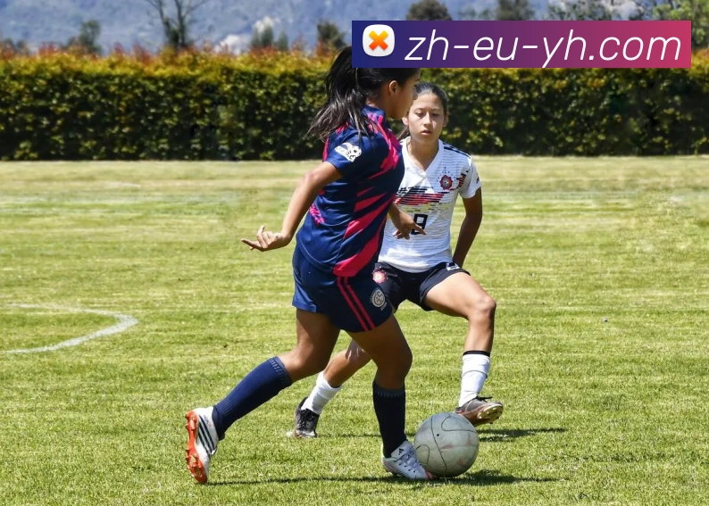 银河官网我们的公司秉持持续改进的原则，不断完善产品和服务。我们的持续改进策略确保了企业的持续发展，为客户创造更大价值。银河平台我们的企业关注产业链整合，与上下游合作伙伴建立紧密的合作关系。我们相信，产业链的协同作用能够为客户带来更高效的解决方案。银河集团官网发展历程